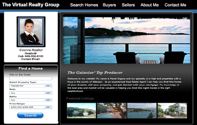 Agent Real Estate Websites