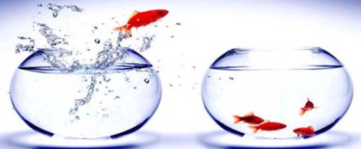 Make the jump to better benefits and commissions